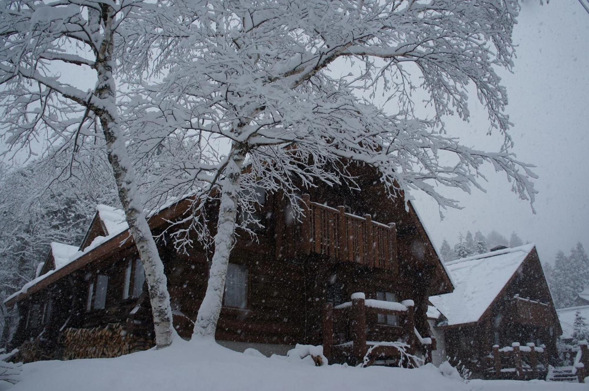 Log Hotel Kamloops Shinano  Luaran gambar